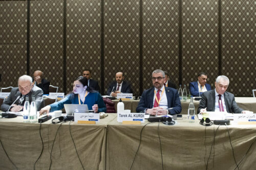 صور من الدورة السابعة لاجتماعات اللجنة الدستورية